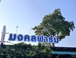 ร้านอาหาร มงคลฟาร์ม อ่างศิลา